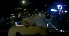 吵架尋死怒「撞車」？三寶衝車道用頭撞引擎蓋　車主超無奈（圖／翻攝自《爆料公社》臉書）