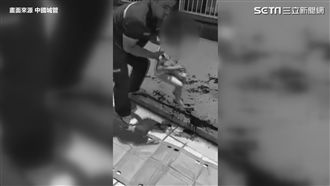 影／女孩從四樓摔下　滿臉是血急送醫