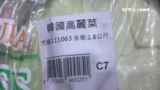 台韓高麗菜大比拚　民眾一面倒讚台產