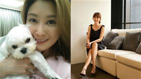 陳珮騏（圖／翻攝自陳珮騏打氣團臉書）