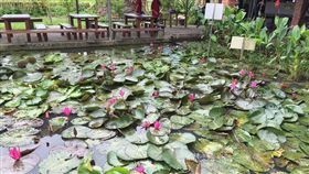 旅遊滔客(圖片版權屬於滔客線上雜誌)