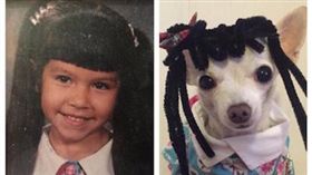 名家／寵物滔客誌