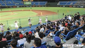 桃園棒球場全猿主場。（圖／記者林敬旻攝）