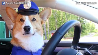 超萌警犬出勤　「出一張嘴」解除警報
