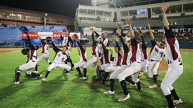 ▲花蓮縣獲得2017年U15亞洲盃國家隊組訓權。（圖／中華棒協提供）