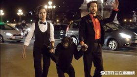 魔幻開幕夜,艾德貝爾,喜劇, 奧黛莉朵杜／可樂提供