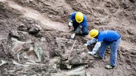 恐龍,化石,重慶,大陸,發掘,化石牆,侏儸紀公園
http://s.weibo.com/weibo/%E6%81%90%E9%BE%8D%E5%8C%96%E7%9F%B3%E7%89%86