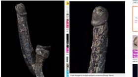 陰莖,18世紀,中古時期,遺骸,維克多溫德博物館,獵奇博物館,勃起／都市報