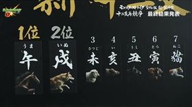 12生肖大賽跑（圖／翻攝自YouTube）