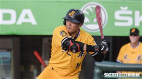 中信兄弟周思齊　圖／記者林敬旻攝