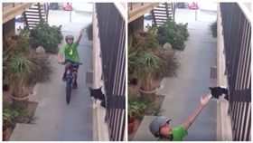 小男孩伸手討擊掌　喵星人驚喜回擊
圖/翻攝自臉書粉絲專頁《UNILAD》