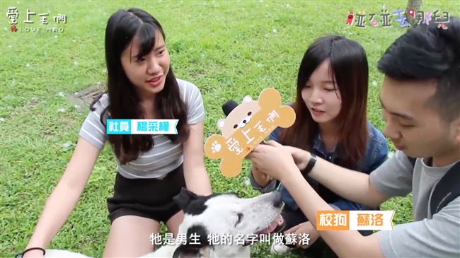 突擊輔大愛狗社　一起尋找愛狗正妹！