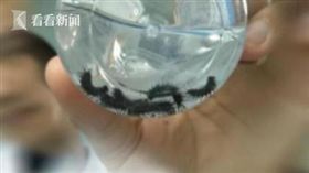 苗族童腹痛狂吐毛毛蟲活體，父母：被下蠱了。（圖／翻攝新浪網）