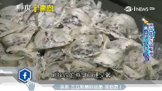 前進燕屋　越南姊妹花大賺燕窩財