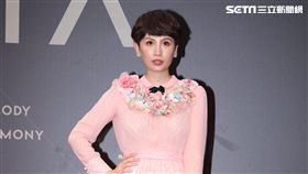 金曲28,金曲獎,星光大道,紅毯,魏如萱／記者邱榮吉攝影