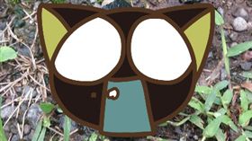 過期,25年,蘋果罐頭,日本,推特　圖／翻攝自S0RiakM推特