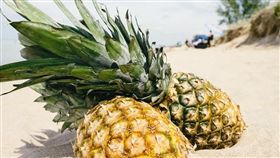 鳳梨,泰國,喉嚨,疼痛,灼熱,過敏,蜂針,傳統醫療　圖／翻攝自
pixabay　