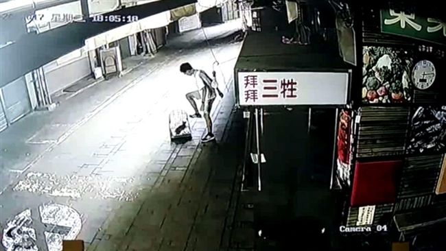 國中生抓捕貓狗　殘忍虐殺後棄屍