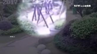 恐怖！男童頭卡鞦韆椅　瞬間爆頭喪命