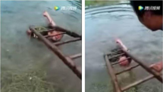 13歲屁孩偷錢又毆母　父親這樣罰他