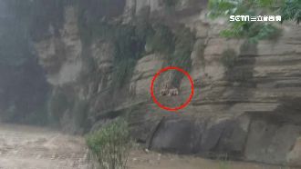 外籍研究生受困山壁　搜救隊冒險救出