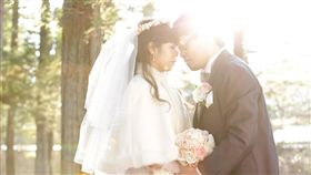 圖／林世豪提供