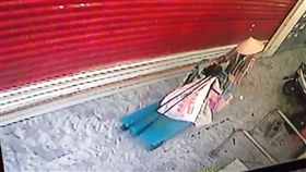 網友辛苦栽種的金桔樹竟遭回收阿姨整株抱走。（圖／翻攝自我是新店人）