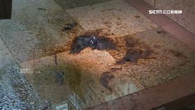 國防部,軍情局,電技室,台北,士官長,強鹼,妻子,寵物,吵架,保護令