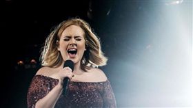 愛黛兒 /翻攝自IG