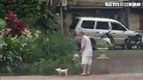 阿伯遛狗卻拉緊牽繩，吊起其中1隻狗至灑水器前任其淋濕，女網友上前制止還嘻皮笑臉、不以為意（翻攝自《我是萬華人》）