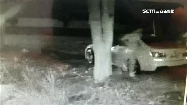 謊稱車被偷了　自導自演詐保遭識破
