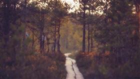 旅遊滔客(圖片版權屬於滔客線上雜誌)