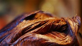 染髮
https://www.flickr.com/photos/padshewscky/6859146769/in/photolist-bs7Vnc-bs7VtF-dputms-pSPhTK-a6aH9k-bCNSZ3-bCNRa5-5LKg2v-bVd6xw-5NQdNj-bCNSMy-bRHBfi-bRHzjc-bRHAfk-4zJo9P-6GhuYx-8cmrX2-2aFP2E-571wy