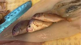 透抽,海鮮,魚,大賣場,料理,煮飯,漁獲,賺到
（圖／翻攝自爆廢公社三館）