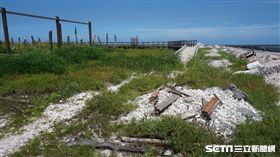 彰化福寶濕地（圖／校園記者林育賢攝）