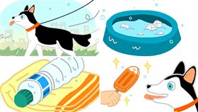 名家／毛起來／狗狗消暑方法（勿用）