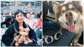 王思聰,王可可（合成圖／翻攝自王思聰、王可可是個碧池微博）