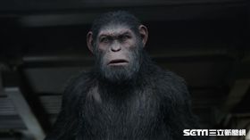 猩球崛起：終極決戰／福斯提供