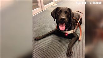 餐廳拒導盲犬？店家：溝通不良引誤會