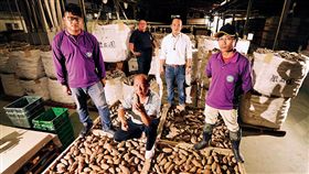 名家／商業周刊／地瓜農場經理人　平均35歲年薪上看百萬（勿用）