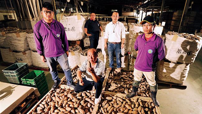 地瓜農場經理人　35歲年薪上看百萬