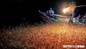 金山蹦火仔捕魚,漁港。（圖／北觀處提供）