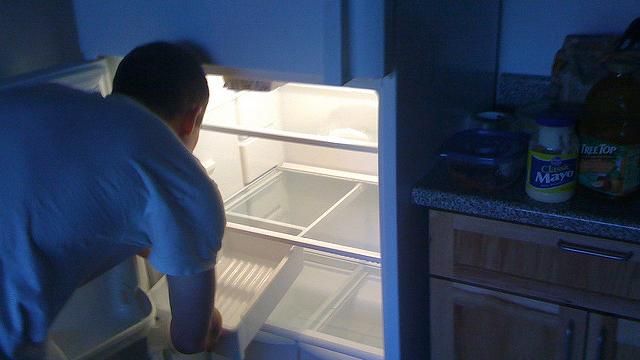 為了280萬　他藏妻遺體在冰箱8年