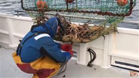 工作,高薪,螃蟹,帝王蟹,捕蟹人,阿拉斯加,白令海峽
（圖／翻攝自YouTube）