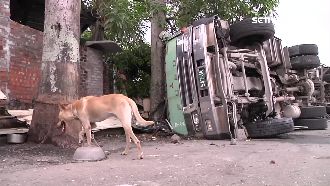 砂石車過彎失控側翻　衝民宅狗屋全毀