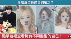 玩適合髮型軟體變狗臉／劉耀之臉書