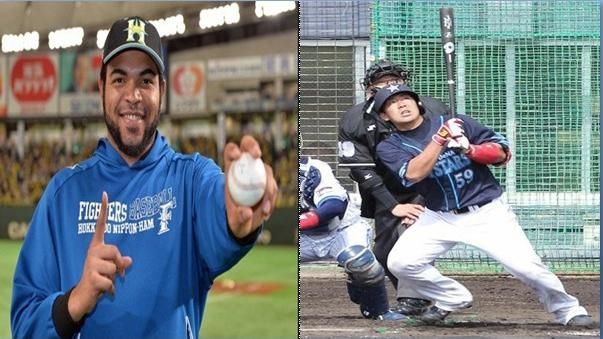 日職 曾達成夢想和三浦搭檔橫濱黑羽根被交易到火腿 運動 三立新聞網setn Com