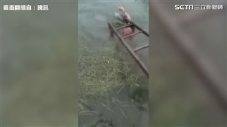 窒息式父愛！父親水刑教育偷竊兒