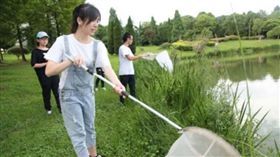 暑假作業,大學生,抓蟲,昆蟲,標本,中國大陸,學校（圖／翻攝自中國新聞網微博）http://s.weibo.com/weibo/%E6%B5%99%E6%B1%9F%E5%86%9C%E6%9E%97%E5%A4%A7%E5%AD%A6%E6%A4%8D%E7%89%A9#1499343066385