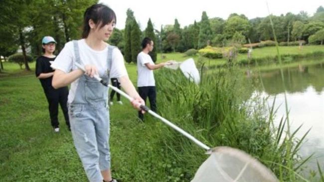 暑假作業要抓千隻蟲…大學生崩潰揮網
